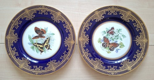 Pair caverswall fine - pair, bone