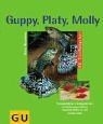 Guppy platy molly - platy,, und