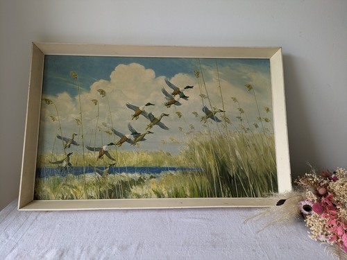 Peter scott vintage - peter, framed