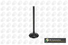 BGA V998745 Intake Valve Fits