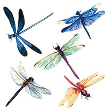4 x Single Paper Table Napkin/33cm/3-Ply/Decoupage/Assorted Mix of Dragonflies