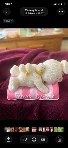 Hip hop sweet dreams bunny - sweet,