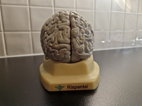 Risperdal model brain - model,