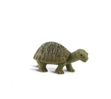 Single Safari Ltd. Good Luck