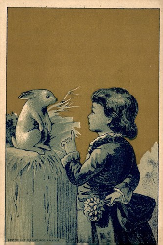 Antique 1880s advertising - antique,