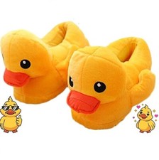 Duck Slippers, 2024