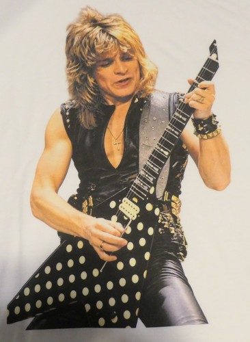 Custom randy rhoads guitar - custom,