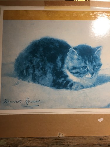 The parson kitten - "the, parson's