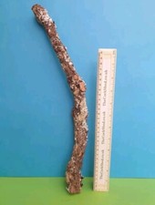 CORK BARK BRANCH 40CM LEOPARD