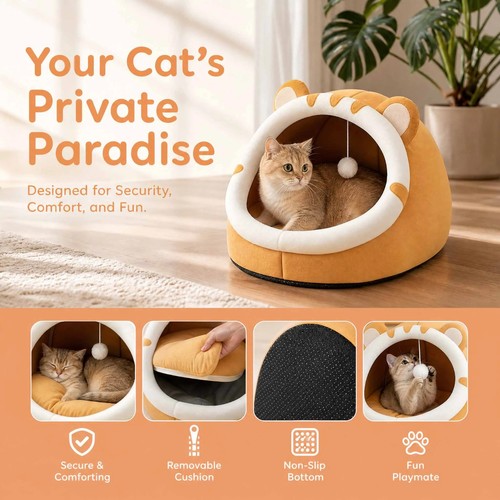 Pet cute cat warm soft - soft, house