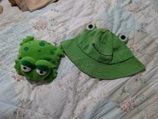 Frog Teddy Soft Toy And Hat