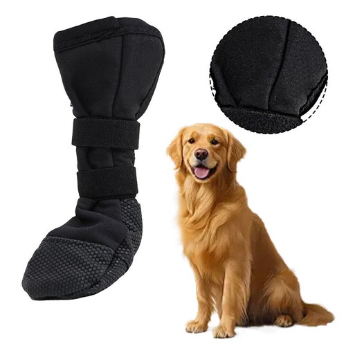 Dog paw protection - dog, boot