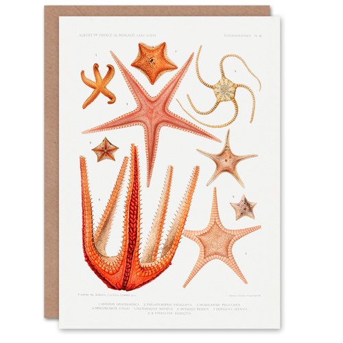 Vintage marine life - art, card