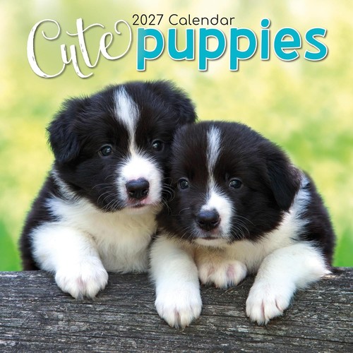 Cute puppies puppy dogs 12 - puppies, "12