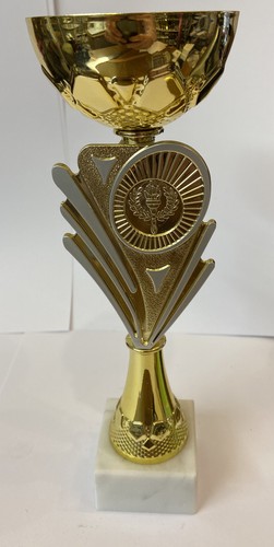 Gold cup trophy with - with, marble