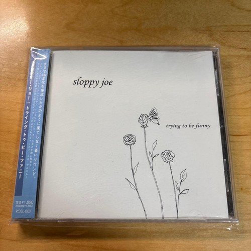 Sloppy joe - sloppy,