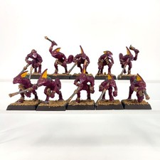 X10 Skinks Chameleons