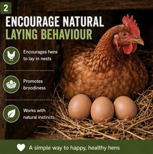 Weighted Hens Eggs To