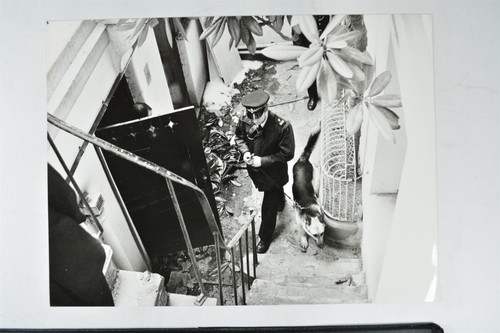 Police dog handler basement - police,