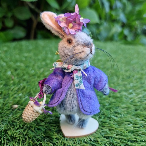 Rabbit with purple jacket - rabbit, by