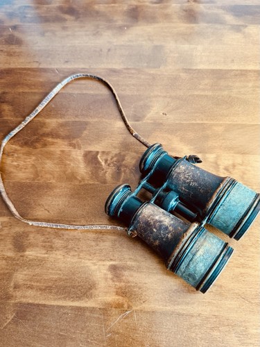 Antique 1900 leather - 1900, field