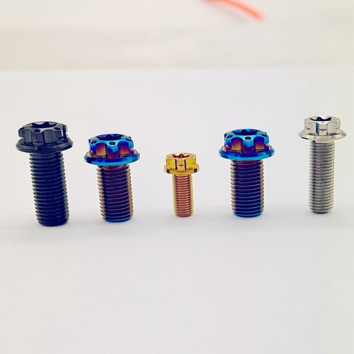 Titanium flange bolts - bolts, torx