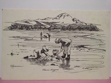 clam diggers Birch Bay