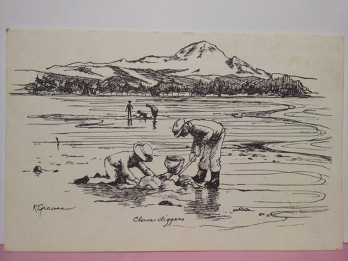 Clam diggers birch bay - clam,