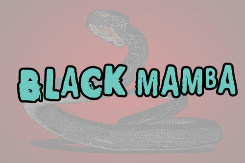Sticker black mamba car - sticker,