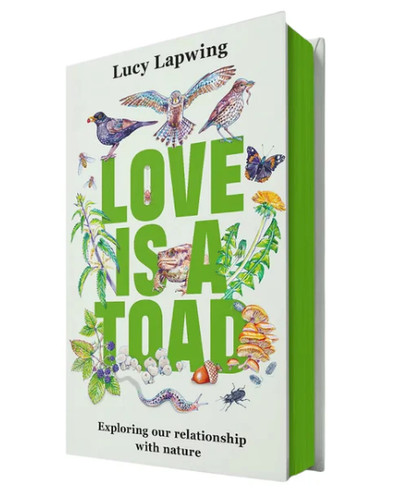 Love toad lucy - love,
