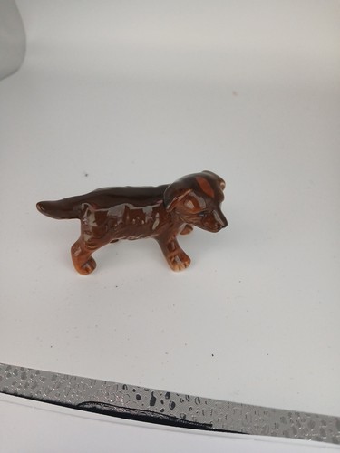 Goebal cocker spaniel puppy - goebal,