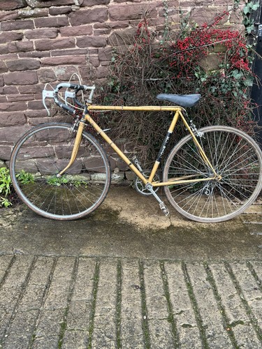 Elswick invincible - elswick,