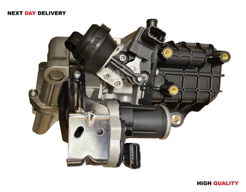 Egr valve cooler for - &, citroen