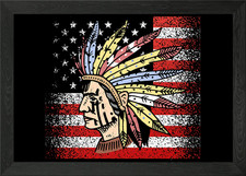 Native american flag framed - native,