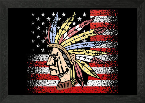 Native american flag framed - american,