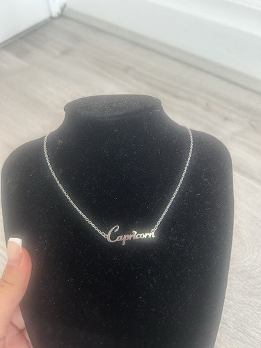 Silver tone capricorn - silver,