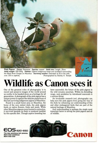 1987 canon eos - canon, 620