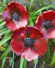 Hand Made Garden Poppy for