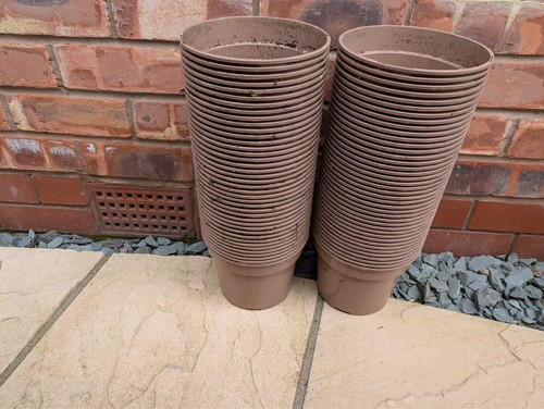 Plant pots used - pots,, 3