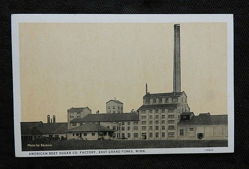 1930 american beet - c.1930, &
