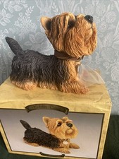 leonardo collection dog