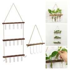 Wall hanging plant propagation - hanging,