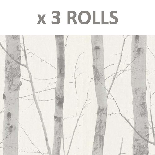 Rolls birch tree wallpaper - rolls,