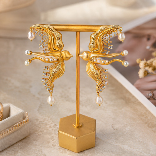 Schiaparelli swallow bird drop