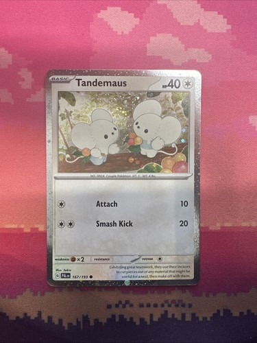 Pokemon card tandemaus - card, paldea