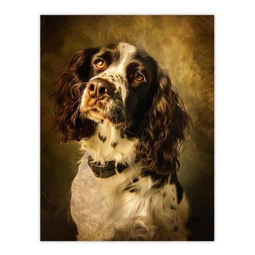 English springer spaniel - english,
