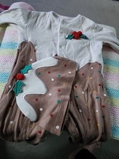 Christmas Pudding Babygro And Pudding Hat 9 / 12 Months
