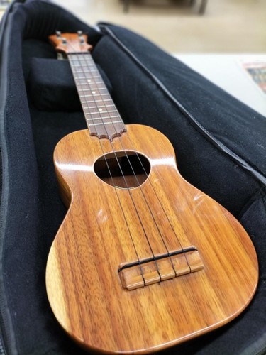 Koaloha ukulele std - koaloha,