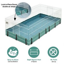 Guinea Habitat Guinea Pig