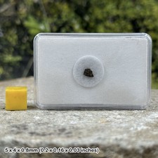 Lunar Meteorite Tisserlitine